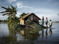 nuoc bien dang se nhan chim nhieu quoc gia thanh pho