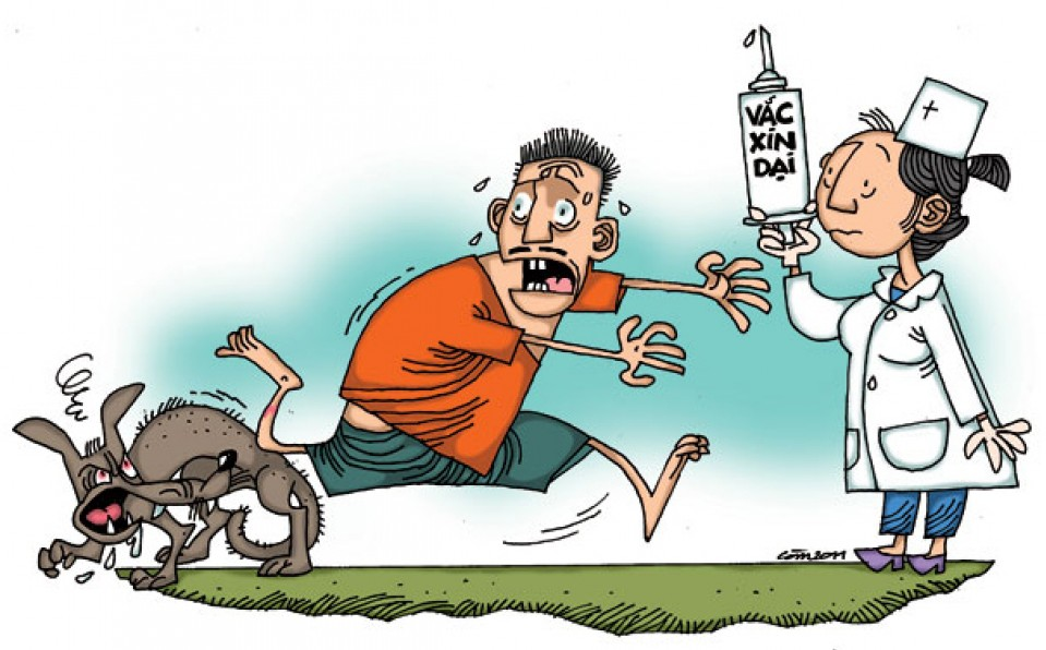 Tăng cường phòng, chống bệnh dại trong mùa Hè