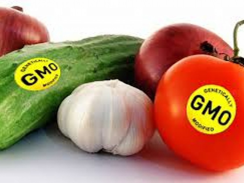 Phản đối nỗ lực của Greenpeace chống thực phẩm biến đổi gene