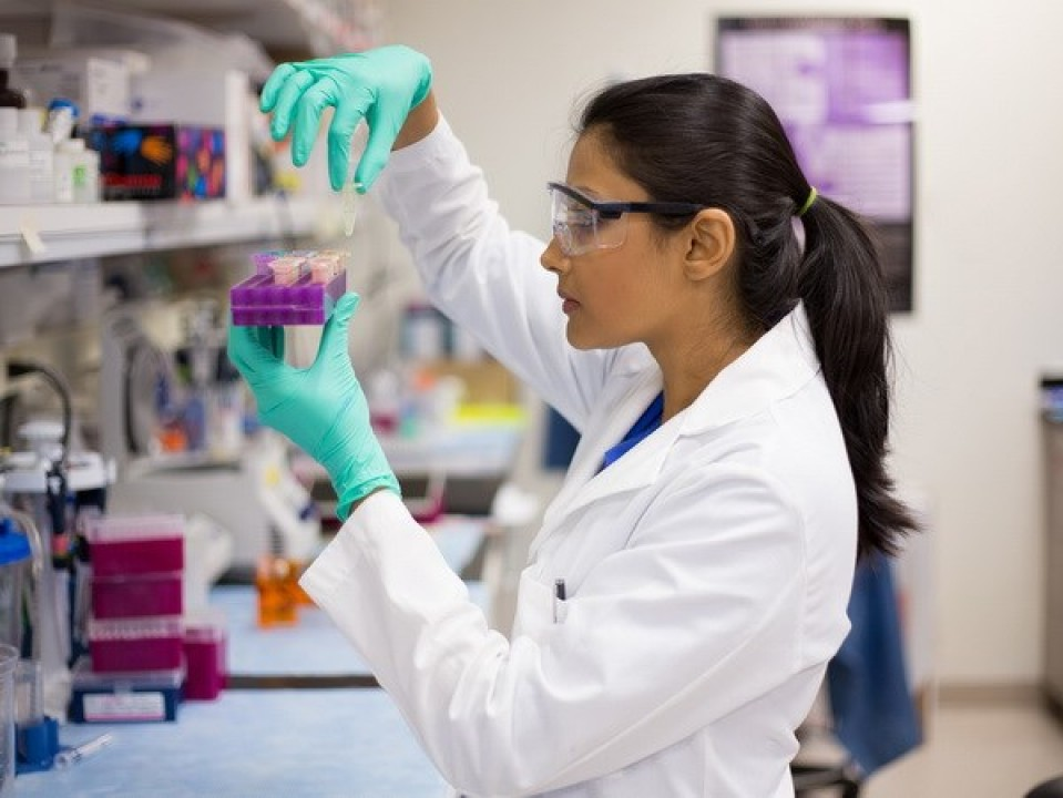 JM-20 – phân tử mới có lợi cho điều trị thiếu máu não