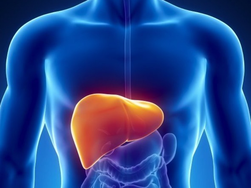 WHO kêu gọi huy động nỗ lực toàn cầu chống lại bệnh viêm gan B và C