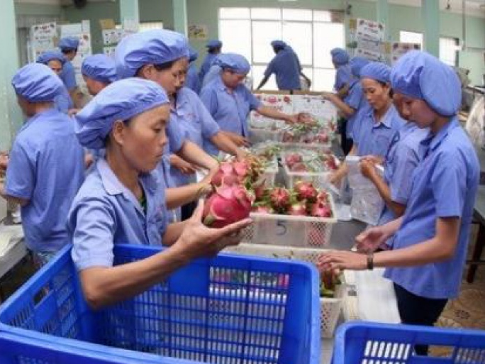 Việt Nam giữ vị trí thứ 5 ở châu Á về xuất khẩu sang Canada