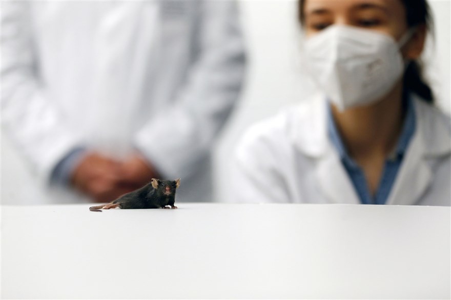 Ảnh ấn tượng tuần (18-24/1): Lễ nhậm chức Tổng thống Mỹ khác thường, nhân vật đối lập Nga Navalny ‘chiếm sóng’ truyền thông và tập ‘yoga bia’ Ảnh ấn tượng tuần (18-24/1): Lễ nhậm chức Tổng thống Mỹ khác thường, nhân vật đối lập Nga Navalny ‘chiếm sóng’ truyền thông và tập ‘yoga bia’