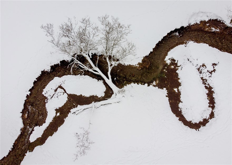 Ảnh ấn tượng tuần (25 31/1): Chủ tịch Hạ viện Mỹ ám chỉ ‘kẻ thù từ bên trong’ và sóng thần Covid-19 càn quét toàn thế giới