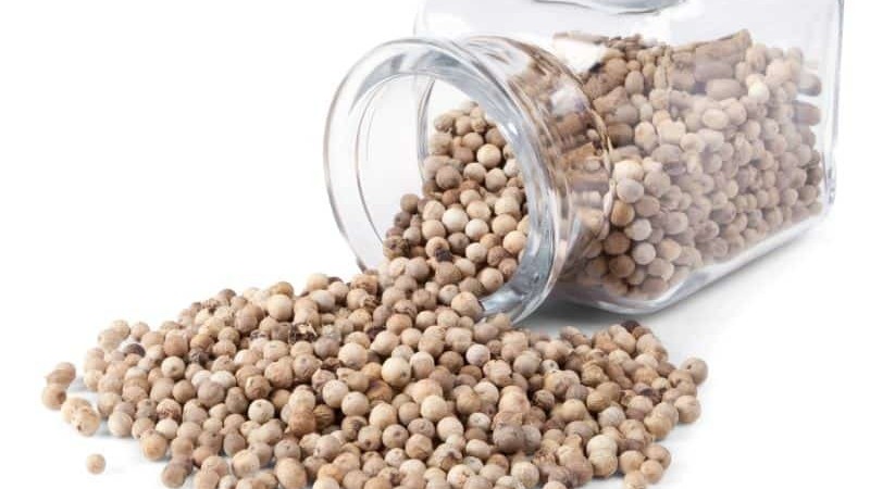 Giá tiêu hôm nay 17/2: Thế giới tiếp tục tăng; trong nước thấp nhất 51.000đ/kg, xuất khẩu gặp khó do Covid-19