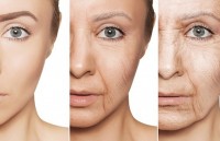 em be nguoi chim moi 8 tuoi da qua doi vi qua gia