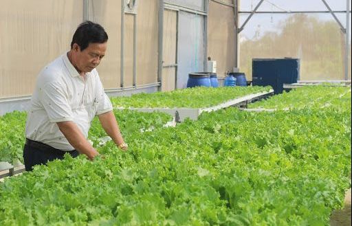 Tháng 4/2020, lần đầu tiên Việt Nam sẽ công bố Sách Trắng hợp tác xã