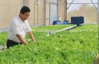 Tháng 4/2020, lần đầu tiên Việt Nam sẽ công bố Sách Trắng hợp tác xã