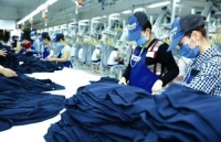 giua tam bao covid 19 adb du bao tang truong kinh te viet nam nam 2020 dat 48