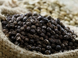 Giá tiêu hôm nay 10/11/2023, hơn 62% tiêu nhập vào Việt Nam tới từ quốc gia này; nông dân Campuchia trữ hàng chờ giá