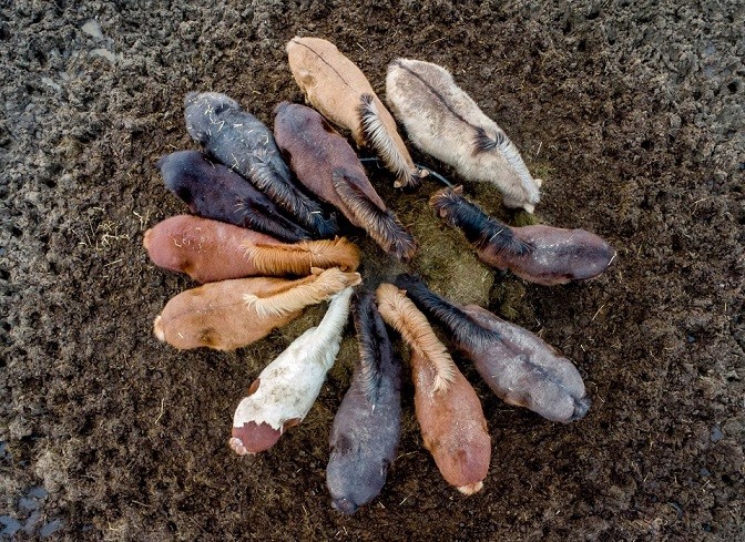 Ảnh ấn tượng tuần (28/2-6/3): Xung đột Nga-Ukraine, Mỹ điều quân đến Đông Âu, tranh cãi vụ cháy nhà máy điện hạt nhân, đổ lỗi nhau về lệnh ngừng bắn