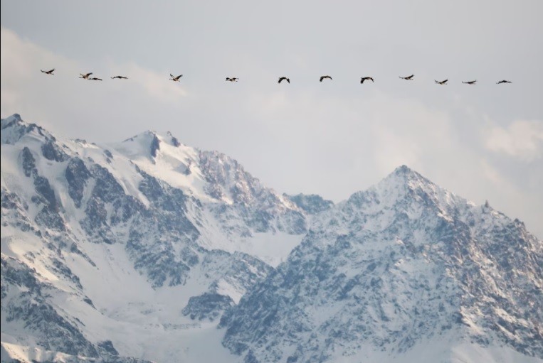 Ảnh ấn tượng tuần (7-13/3): EU không ra đòn với khí đốt Nga, nói kết nạp Ukraine ‘không phải nay mai’, Moscow sẽ cấp thiết bị quân sự cho Belarus