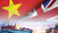 UKVFTA - ‘Cú hích’ cho thương mại Việt Nam-Anh và chiến lược sử dụng mô hình kim tự tháp