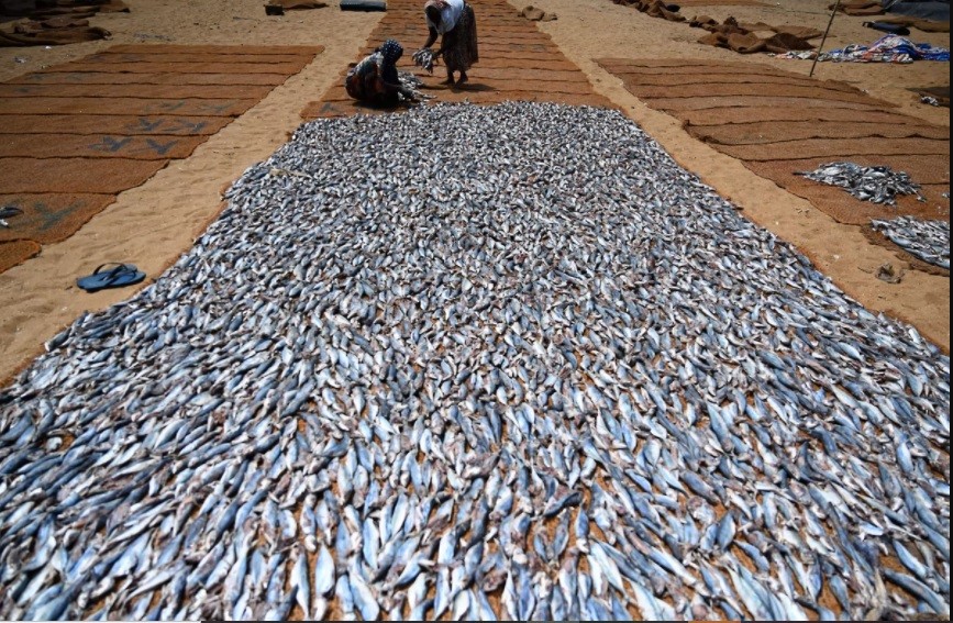 Ảnh ấn tượng tuần (21-27/3): Ukraine đề nghị được cấp xe tăng, NATO áp trừng phạt ‘chưa từng có’ lên Moscow, thêm án tù với nhân vật đối lập Nga