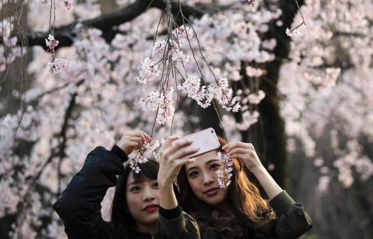 Sự kiện trong tuần qua ảnh (24-31/3)