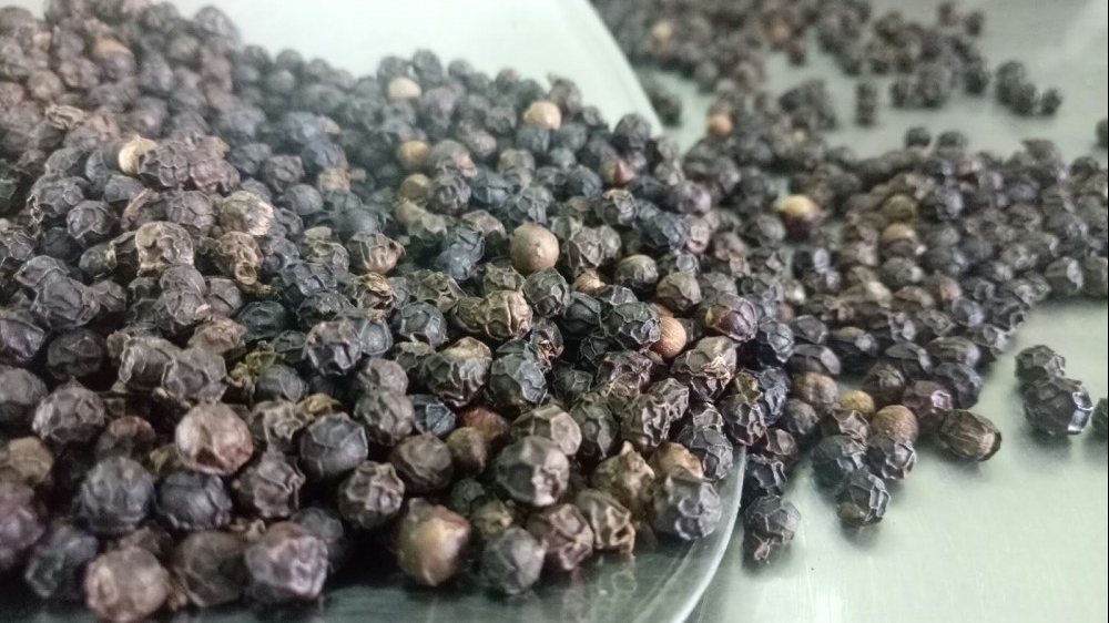 Giá tiêu hôm nay 25/3/2025: Xuất khẩu giảm mạnh, giá cao, nguồn cung tiêu năm 2025 thấp hơn nhiều so với cùng kỳ