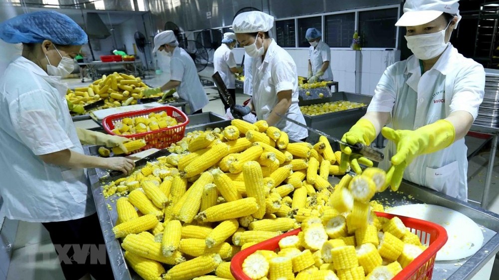 Chiến lược phát triển thị trường bền vững hàng nông sản Việt Nam