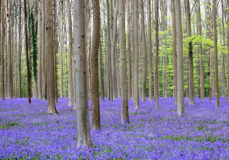 Ảnh ấn tượng tuần (18-24/4): Xung đột Nga-Ukraine, pháo kích ở Mariupol, cháy nhà máy lọc dầu Lysychansk, chạy trốn khỏi Lviv và tên lửa ở Gaza