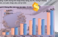 rieng nua dau thang 2 viet nam nhap sieu gan 13 ty usd