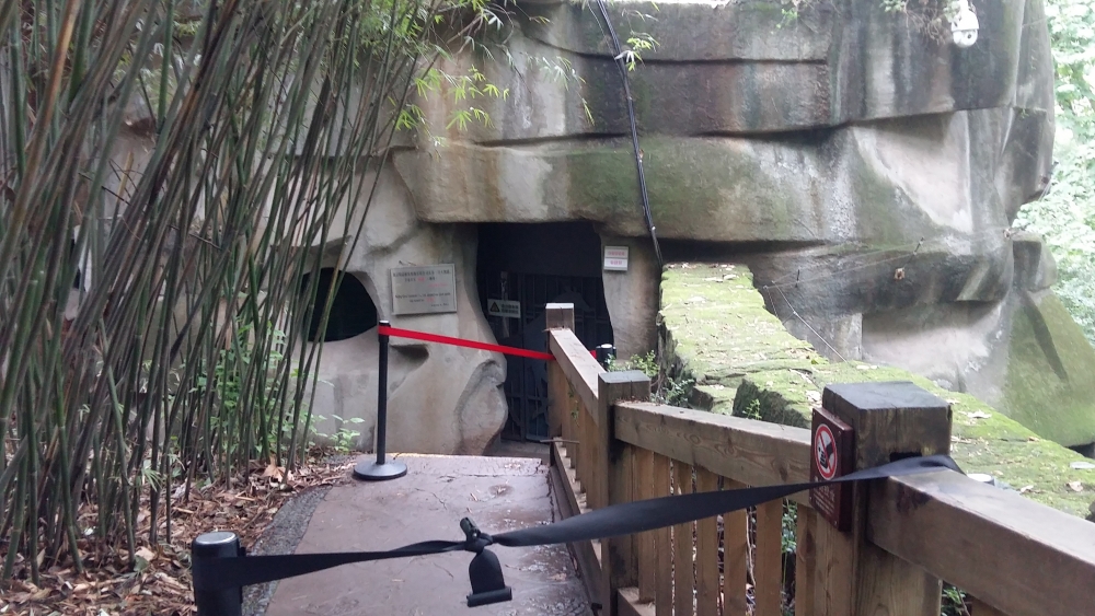 den trung quoc ngam nhung chu gau truc de thuong nhat the gioi