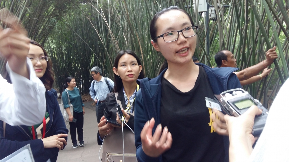 den trung quoc ngam nhung chu gau truc de thuong nhat the gioi