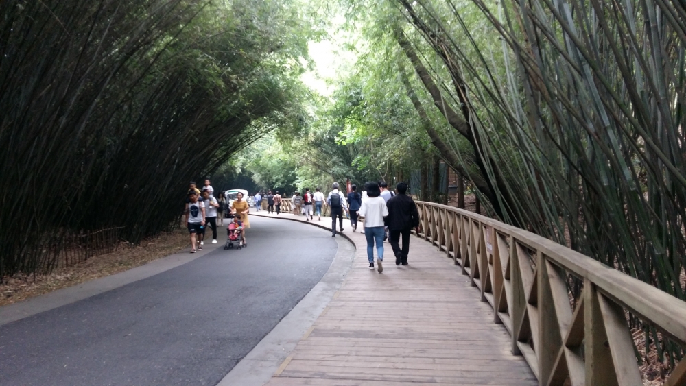 den trung quoc ngam nhung chu gau truc de thuong nhat the gioi