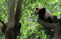 bat ngo tu xuyen ghi chep cua phong vien tgvn