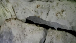 Mexico: Phát hiện 137 dấu tay linh thiêng của người Maya cổ đại trong hang động