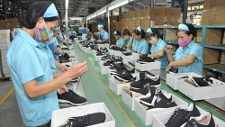 ‘Kê đơn’ cấp cứu doanh nghiệp vượt cú sốc Covid-19: Thuốc đã đúng, trúng và đủ?