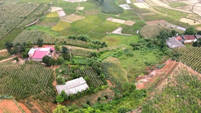 Bất động sản mới nhất: Đất nền không còn được săn đón, điều kiện tách thửa ở Hà Nội, loạt dự án chưa đủ điều kiện huy động vốn