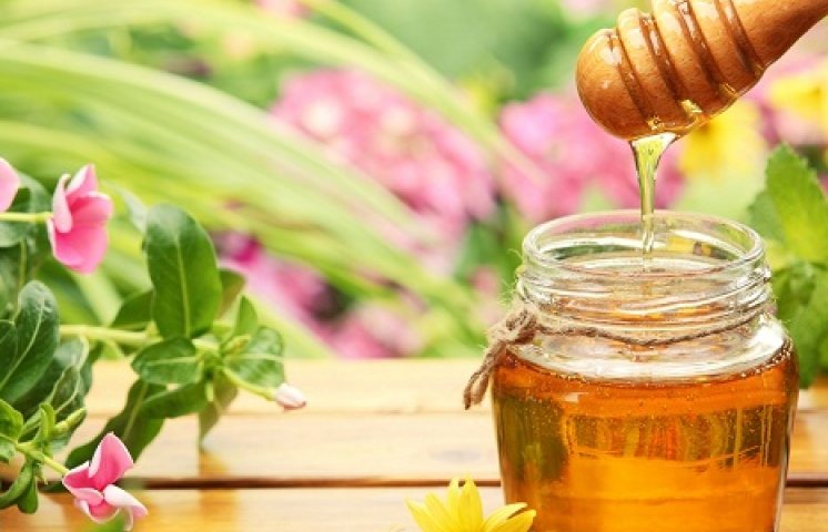 Tìm đối tác xuất khẩu hàng nông sản