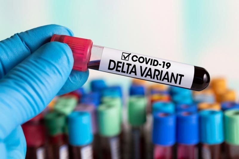 Covid-19: Biến thể Delta của virus SARS-CoV-2 sẽ nhanh chóng ‘thống trị’, là mối đe dọa lớn nhất với Mỹ Covid-19: Biến thể Delta của virus SARS-CoV-2 sẽ nhanh chóng ‘thống trị’, là mối đe dọa lớn nhất với Mỹ