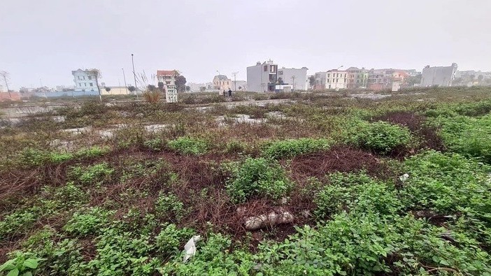 Bất động sản mới nhất: Hết thời sốt ‘điên đảo’, nhà đầu tư ‘quay xe’ bỏ cọc đất nền, Vĩnh Phúc công khai thu hồi 11 dự án