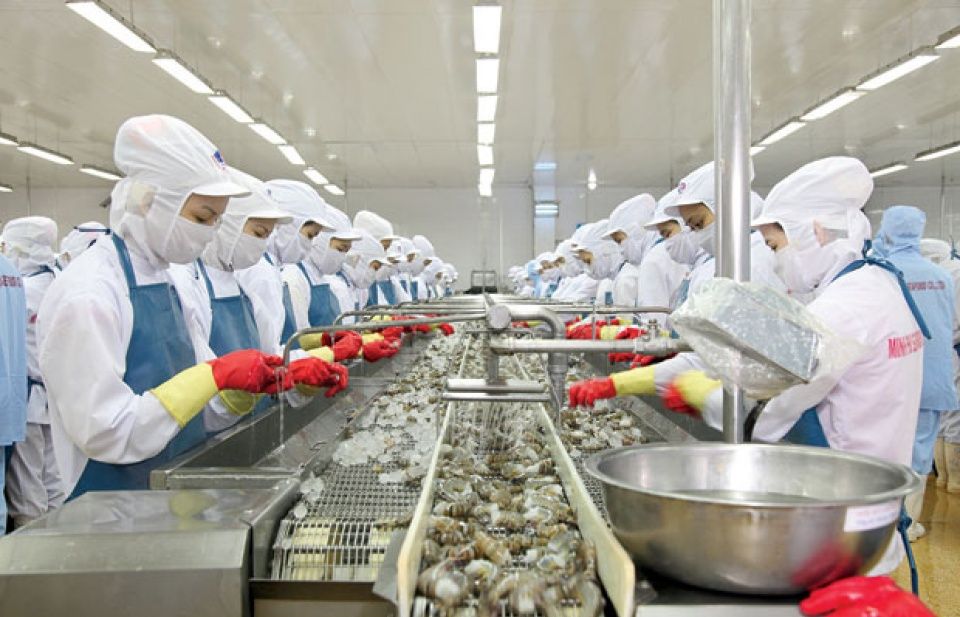 Người phát ngôn Bộ Ngoại giao: Việt Nam có nhiều nỗ lực quyết liệt nhằm gỡ thẻ vàng thuỷ sản của EU