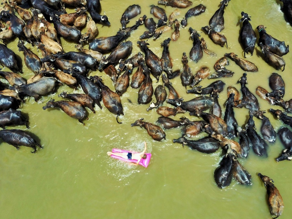 anh an tuong tuan 13 197 dap tam hiep oan minh chong lu xung dot armenia azerbaijan va covid 19 chet choc o mexico