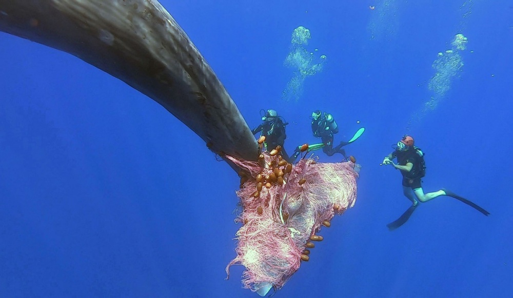 anh an tuong tuan 20 267 nguy co vo dap tam hiep my trung quoc dong cua cac lanh su quan tra dua nhau va noi dau covid 19