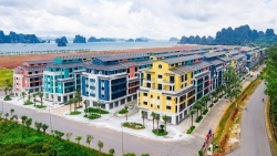 Bất động sản mới nhất: Thị trường Hà Nội yếu, nhà liền kề phía Tây tăng giá đột biến; địa ốc Vân Đồn ‘cất cánh’