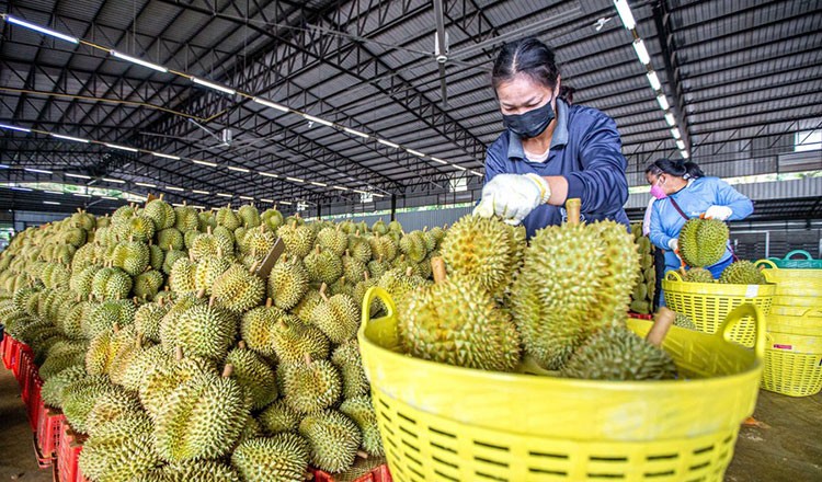 RCEP mang lại lợi ích cho Trung Quốc và các nước ASEAN như thế nào? (Nguồn: Xinhua) RCEP mang lại lợi ích cho Trung Quốc và các nước ASEAN như thế nào? (Nguồn: Xinhua)