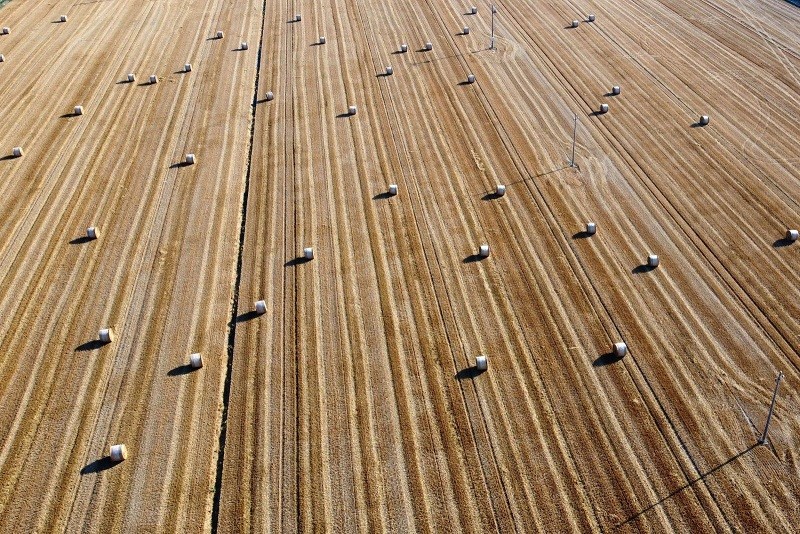 Ảnh ấn tượng tuần (18-24/7): Nga ‘đáp lời’ phương Tây trong cạnh tranh ở Trung Đông, Ukraine luyện quân, Covid-19 căng thẳng tại Trung Quốc