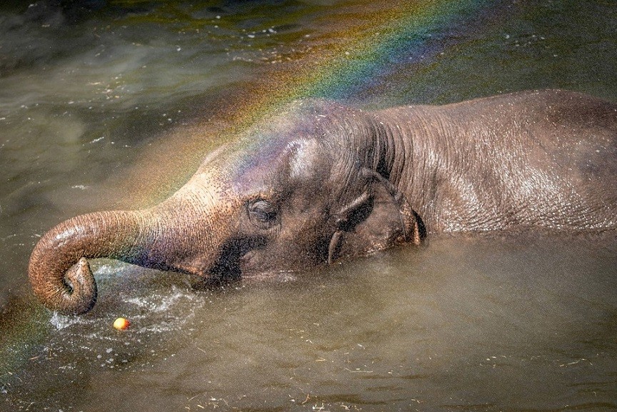 Ảnh ấn tượng tuần (18-24/7): Nga ‘đáp lời’ phương Tây trong cạnh tranh ở Trung Đông, Ukraine luyện quân, Covid-19 căng thẳng tại Trung Quốc