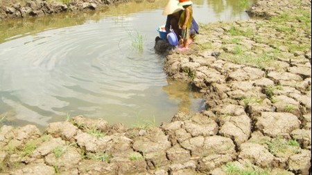 Ứng phó với biến đổi khí hậu, Việt Nam chọn phương thức ‘một mũi tên trúng hai đích’