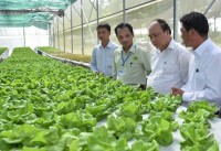 thoi tiet cuc doan chau au co nguy co mat mua