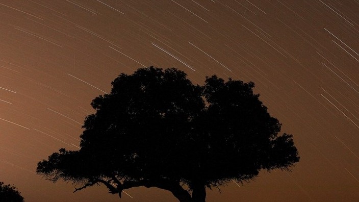 Mưa sao băng sẽ diễn ra ngay tuần tới