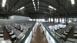 Covid-19 ở TP. Hồ Chí Minh: Kiến nghị lập bệnh viện dã chiến trong khu công nghiệp