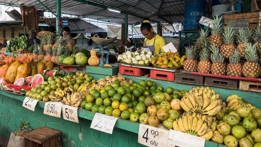 Lần đầu tiên sau hơn 60 năm, Cuba cho phép nước ngoài đầu tư vào lĩnh vực bán buôn, bán lẻ
