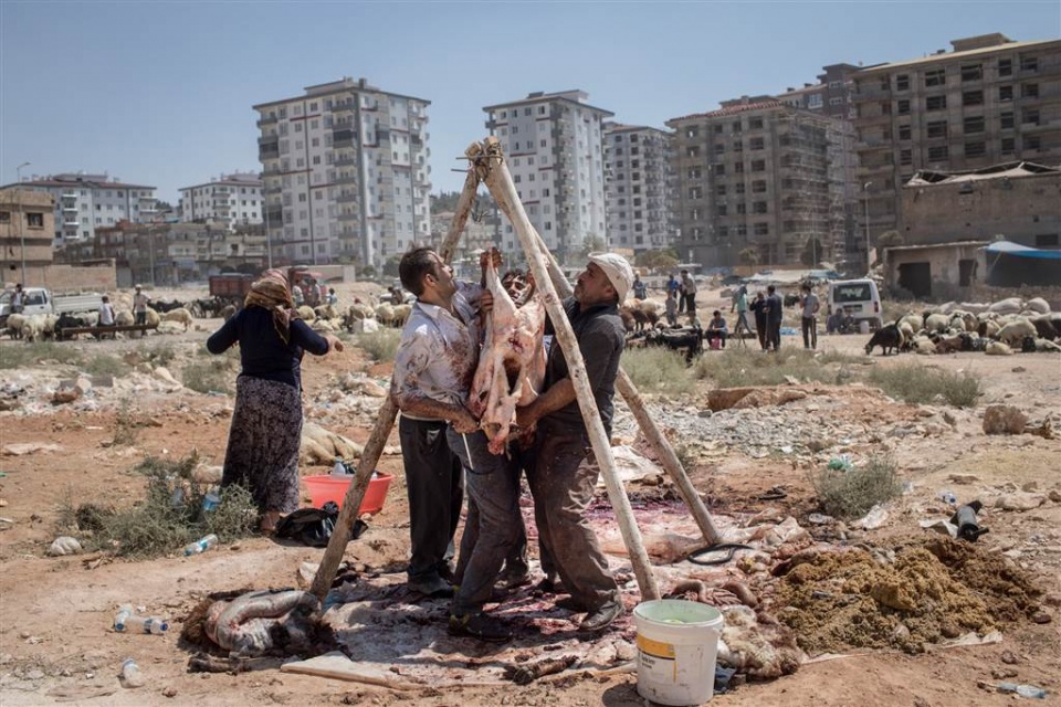 su kien trong tuan qua anh 268 29