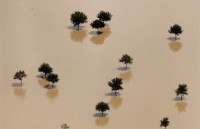 nong dan my mua 100 may phat dien cho nguoi dan bahamas sau bao dorian