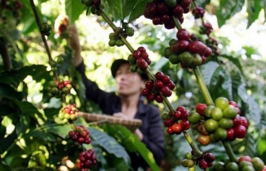 Xuất khẩu của Việt Nam sang Algeria tăng 26%