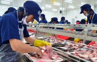 ca tra viet huong loi tu cuoc chien thuong mai my trung