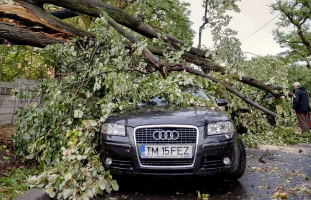 Romania: Bão lớn tràn qua bất ngờ làm 8 người thiệt mạng